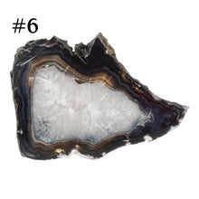 Load image into Gallery viewer, Premiere Agate Slice SM #6 on a white background - Down To Earth