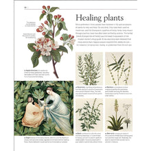 Load image into Gallery viewer, A History of Magic Witchcraft and The Occult Healing Plants - Down To Earth