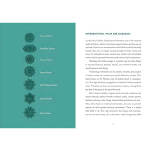 Load image into Gallery viewer, A Little Bit of Chakras Guided Journal Intro - Down To Earth