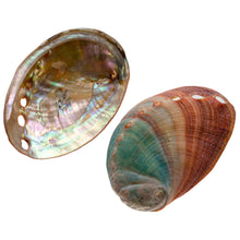 Load image into Gallery viewer, Abalone Smudging Shell - Down To Earth