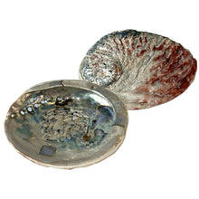 Load image into Gallery viewer, Abalone Smudging Shell - Down To Earth