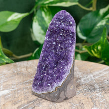 Load image into Gallery viewer, "Amethyst Geode Cluster that is approximately 2 to 3.5 inches tall with green foliage in the background," - Down to Earth.
