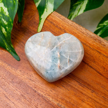 Load image into Gallery viewer, "Heart shaped Aquamarine Palm Stone on a wooden plank with green foliage in the background," - Down to Earth.