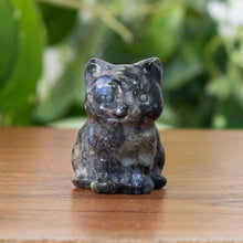 Load image into Gallery viewer, Black Glaucophane Cat Statue front facing displayed on a styled background - Down To Earth
