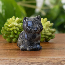 Load image into Gallery viewer, Black Glaucophane Cat Statue angled with props displayed on a styled background - Down To Earth