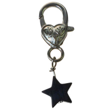 Load image into Gallery viewer, Black Obsidian Crystal Pet Pendant - Down To Earth