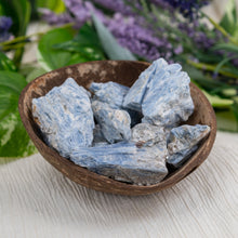 Load image into Gallery viewer, Blue Kyanite In Matrix Raw Crystals in a coconut shell - Down To Earth