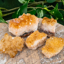 Load image into Gallery viewer, "Five pieces of Citrine Druzy Flats on a wooden table with green foliage in the background," - Down to Earth.