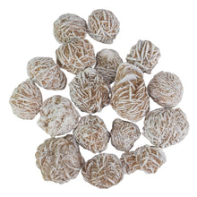 Load image into Gallery viewer, Desert Rose on a white background - Down to Earth