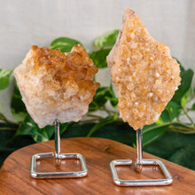 Load image into Gallery viewer, "Two Druze Citrine on silver stands on a wooden base with green foliage in the background," - Down to Earth.