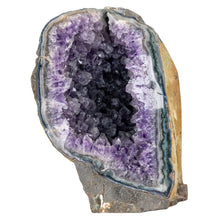 Load image into Gallery viewer, Amethyst Cut Base Geode Cluster large on a white background photo - Down to Earth