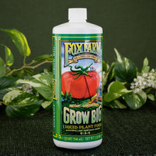Load image into Gallery viewer, Grow Big Liquid Plant Food with plants displayed on a styled background - Down to Earth