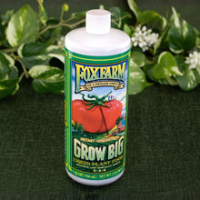 Load image into Gallery viewer, Grow Big Liquid Plant Food up close top down with plants displayed on styled background - Down to Earth