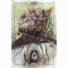 Load image into Gallery viewer, Hush Tarot Deck Ace Card - Down To Earth