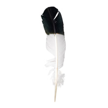 Load image into Gallery viewer, Imitation Eagle Feather - Down To Earth Home Cleansing Ritual Supplies