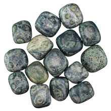 Load image into Gallery viewer, Kambaba Jasper Tumbled on a white background - Down to Earth