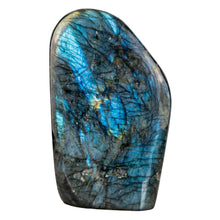 Load image into Gallery viewer, Labradorite Freeform five pounds on a white background front facing angle - Down to Earth