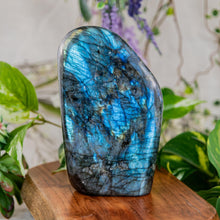 Load image into Gallery viewer, Labradorite Freeform five pounds on a wooden surface front facing angle - Down to Earth