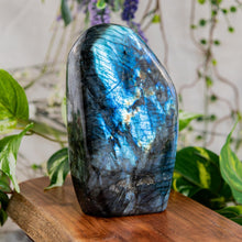 Load image into Gallery viewer, Labradorite Freeform five pounds on a wooden surface front side angle - Down to Earth