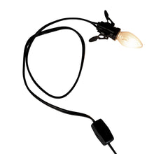 Load image into Gallery viewer, Lamp Cord & Bulb with lights on with white background - Down To Earth