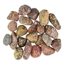 Load image into Gallery viewer, Leopardskin Jasper Tumbled on a white background - Down to Earth