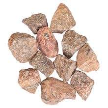 Load image into Gallery viewer, Raw Leopardskin Jasper on a white background - Down To Earth
