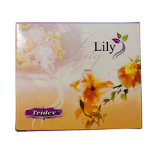 Load image into Gallery viewer, Lily Tridev Incense Cones - Down To Earth