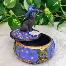 Load image into Gallery viewer, Magical Cat Box Open Styled - Down To Earth