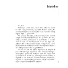 Load image into Gallery viewer, Mindfulness Day by Day Introduction - Down To Earth