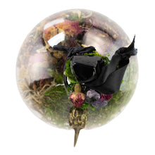 Load image into Gallery viewer, Morrigan Witch Ball top down showing the crystal and charm displayed on a white background - Down To Earth