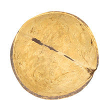Load image into Gallery viewer, Natural Coconut Shell Inside - Down To Earth
