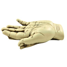 Load image into Gallery viewer, Palmistry Hand Laying Down - Down To Earth