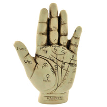 Load image into Gallery viewer, Palmistry Hand - Down To Earth