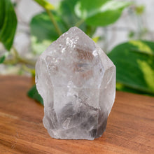 Load image into Gallery viewer, "Phantom Clear Quartz Point on a wooden plank with green foliage in the background," - Down to Earth.