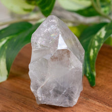 Load image into Gallery viewer, "Clear Quartz Phantom Point on a wooden plank with green foliage in the background," - Down to Earth.