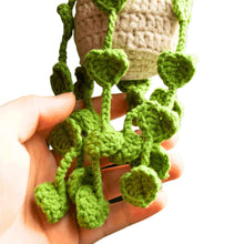 Load image into Gallery viewer, Plant Crochet Hanging Basket Details - Down To Earth