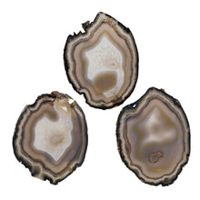Load image into Gallery viewer, Premiere Large Agate Slice Group Photo on a white background - Down To Earth