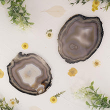 Load image into Gallery viewer, Premiere Large Agate Slice Group Photo top down on a style background - Down To Earth