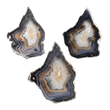 Load image into Gallery viewer, Premiere Agate Slice SM group photo on a white background - Down To Earth