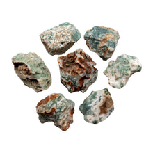 Load image into Gallery viewer, Raw Tree Agate Studio Photo - Down To Earth