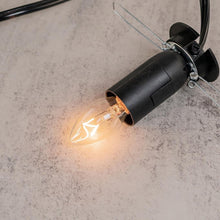Load image into Gallery viewer, Replacement Lamp Bulb on the socket displayed on a styled background - Down to Earth