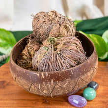 Load image into Gallery viewer, "Coconut shell bowl with dried Rose of Jericho plants and colorful stones on a wooden surface," - Down to Earth.
