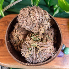 Load image into Gallery viewer, "Coconut shell filled to the brim with Rose of Jericho flowers on a wooden surface with green foliage in the background," - Down to Earth.
