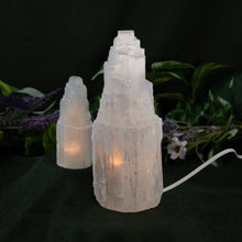 Load image into Gallery viewer, Selenite Two Lamp with style background - Down To Earth