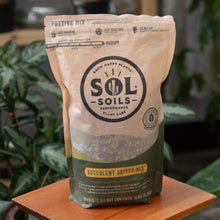 Load image into Gallery viewer, Sol Soils Succulent Gritty Mix with plants displayed on a styled background - Down to Earth