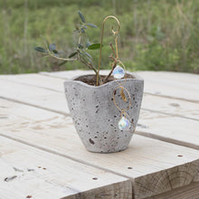 Load image into Gallery viewer, Sun Catcher Plant Decor Triple Circle with Styled Background - Down To Earth