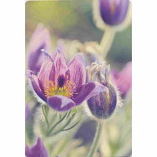 Load image into Gallery viewer, The Elemental Oracle Deck Flower Card - Down To Earth