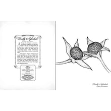 Load image into Gallery viewer, The Wicked Plants Coloring Book Page - Down To Earth