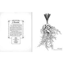 Load image into Gallery viewer, The Wicked Plants Coloring Book Page - Down To Earth