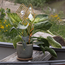Load image into Gallery viewer, Trellis Gold Metal both Rhombus & Tear with style background - Down To Earth